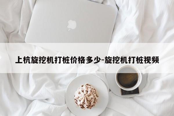 上杭旋挖机打桩价格多少-旋挖机打桩视频