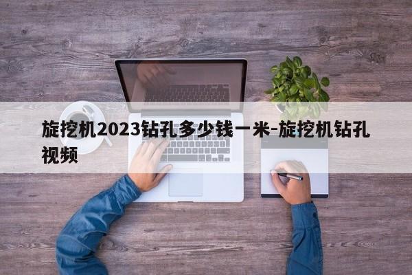 旋挖机2023钻孔多少钱一米-旋挖机钻孔视频