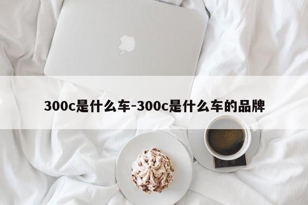 300c是什么车-300c是什么车的品牌