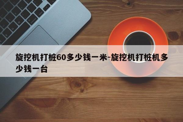 旋挖机打桩60多少钱一米-旋挖机打桩机多少钱一台