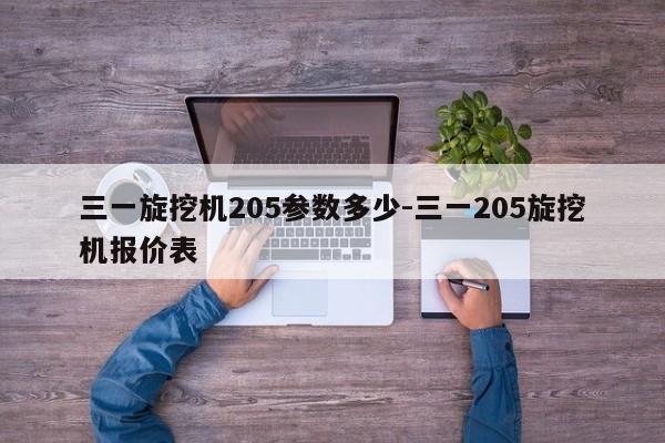 三一旋挖机205参数多少-三一205旋挖机报价表