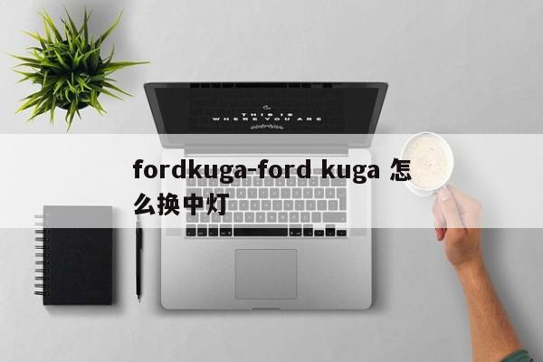 fordkuga-ford kuga 怎么换中灯