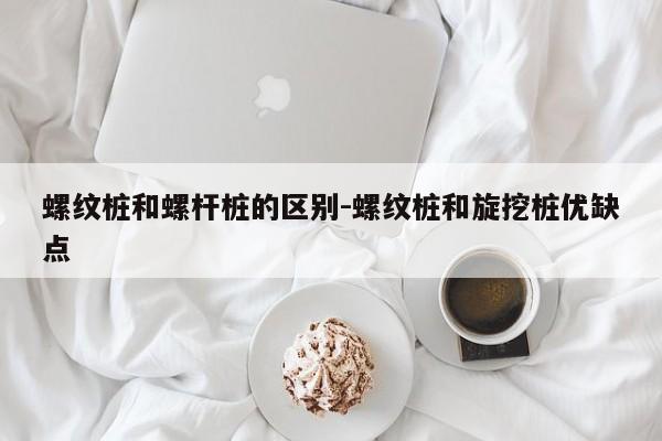 螺纹桩和螺杆桩的区别-螺纹桩和旋挖桩优缺点