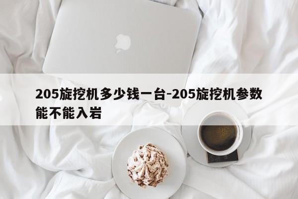 205旋挖机多少钱一台-205旋挖机参数能不能入岩