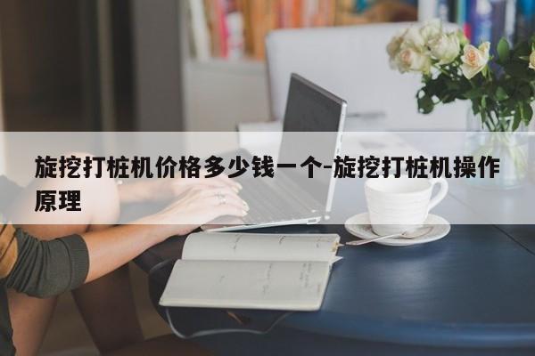 旋挖打桩机价格多少钱一个-旋挖打桩机操作原理