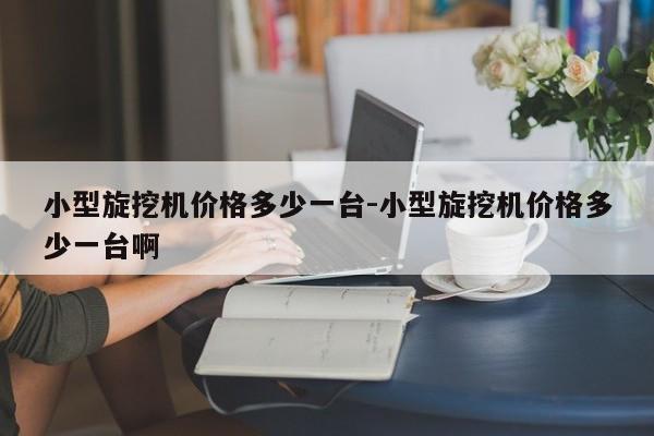 小型旋挖机价格多少一台-小型旋挖机价格多少一台啊