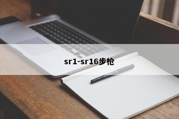 sr1-sr16步枪