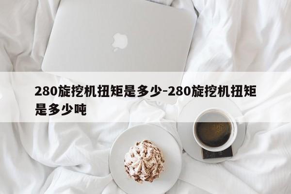 280旋挖机扭矩是多少-280旋挖机扭矩是多少吨