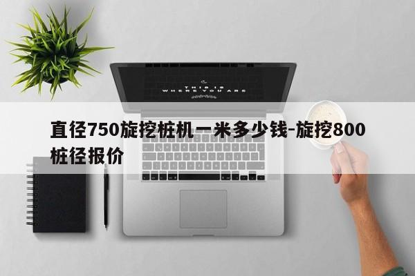 直径750旋挖桩机一米多少钱-旋挖800桩径报价