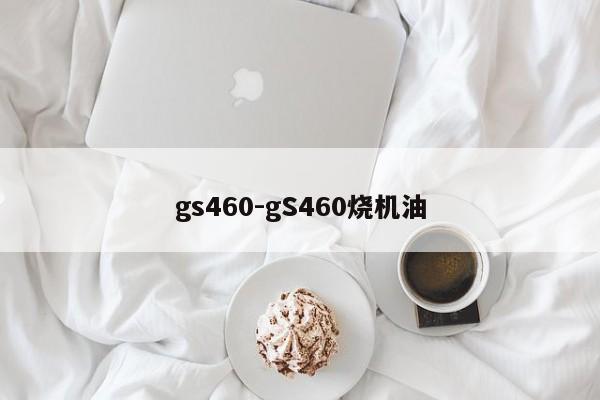 gs460-gS460烧机油