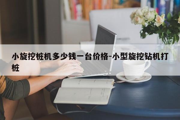 小旋挖桩机多少钱一台价格-小型旋挖钻机打桩