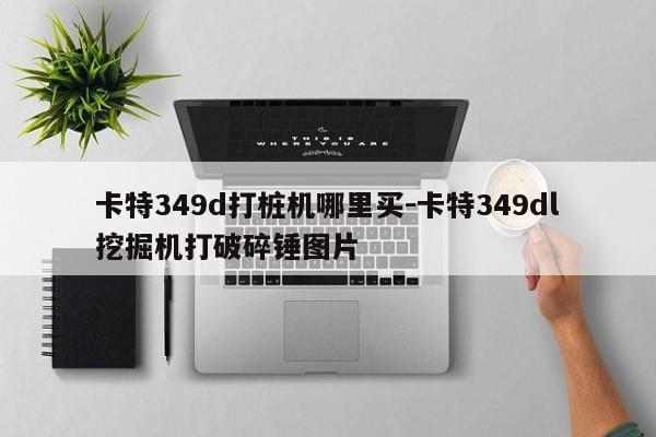 卡特349d打桩机哪里买-卡特349dl挖掘机打破碎锤图片