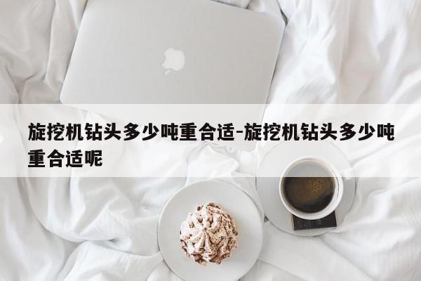 旋挖机钻头多少吨重合适-旋挖机钻头多少吨重合适呢