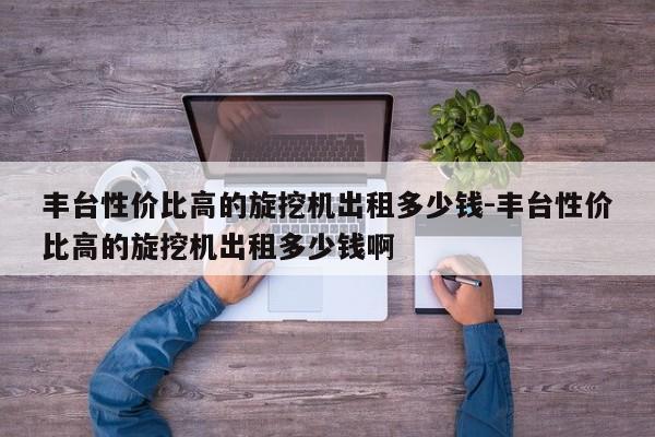 丰台性价比高的旋挖机出租多少钱-丰台性价比高的旋挖机出租多少钱啊