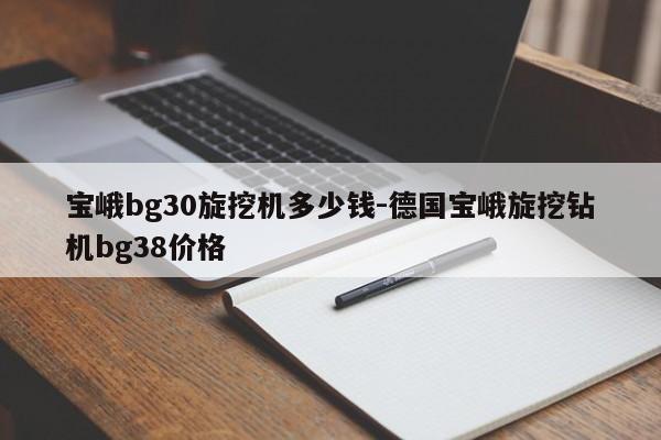 宝峨bg30旋挖机多少钱-德国宝峨旋挖钻机bg38价格