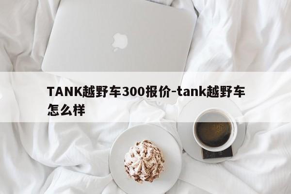 TANK越野车300报价-tank越野车怎么样