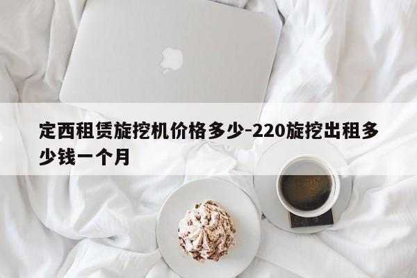 定西租赁旋挖机价格多少-220旋挖出租多少钱一个月