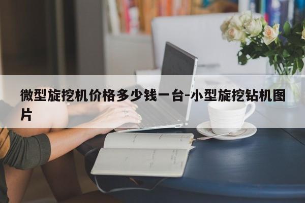 微型旋挖机价格多少钱一台-小型旋挖钻机图片